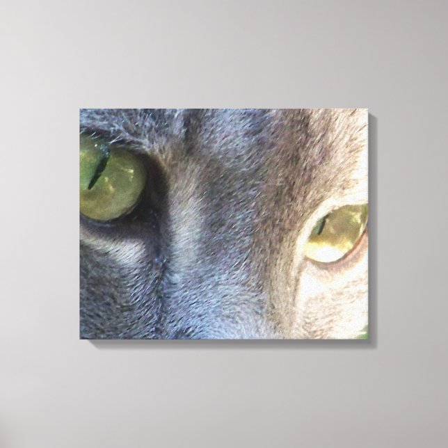 Leinwand für graue Katze (Vorderseite)
