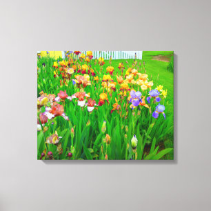 Leinwand für mehrfarbige Iris Blume