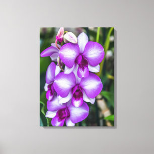 Leinwand für Orchideen, weiß und lila