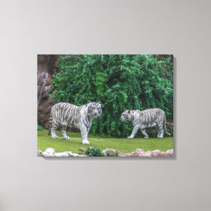 Leinwand für weiße Tiger