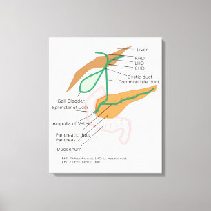 Leinwand Galle-System Diagramm Chart Gallenblase