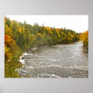 Leinwand Glanzdruck/TAHQUAMENON FLUSS/GOLD UND GRÜ Poster