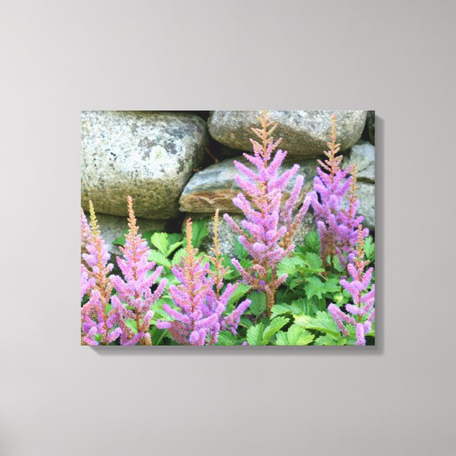 Leinwand in rosa Blume (Vorderseite)