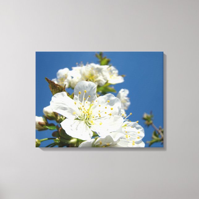 Leinwand Kunst Panels Kirschblüten Bäume (Vorderseite)
