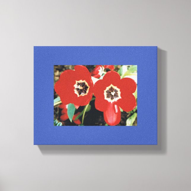 Leinwand mit roten Tulpen (Vorderseite)