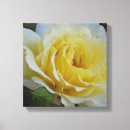 Leinwand mit weißer und gelber Rose