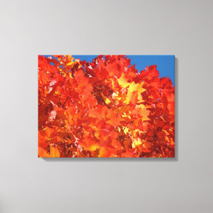 Leinwand Natur Kunst Drucke Rot Orange Herbstlaub
