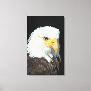Leinwand - Natur Vogel Adler