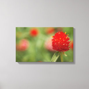Leinwand Red Clover Art
