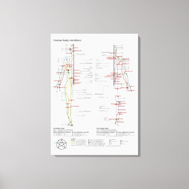 Leinwand Schematische Chinesische Meridiane (Vorderseite)