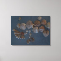 Leinwand (SeaShell Lady) RFPMDesign ©️ 2012