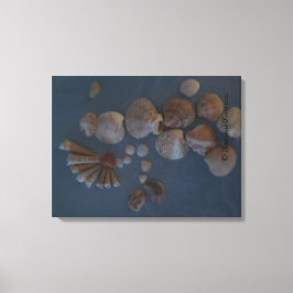Leinwand (SeaShell Lady) RFPMDesign ©️ 2012