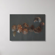 Leinwand (SeaShell-Seepferd) RFPMDesign ©️ 2012