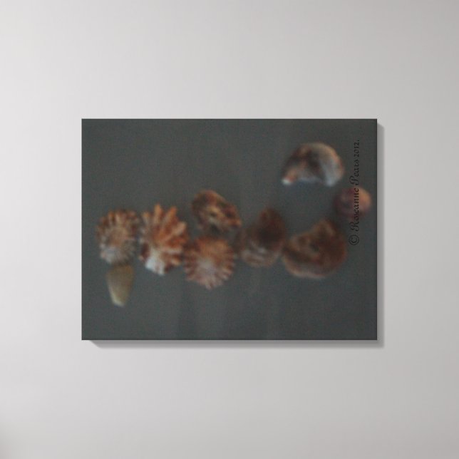 Leinwand (SeaShell-Seepferd) RFPMDesign ©️ 2012 (Vorderseite)