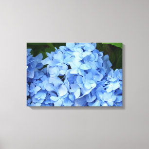 Leinwand - umhüllt - Blaues Hydrangea