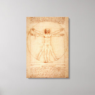 Leinwand Vitruvian Mann durch Leonardo da Vinci