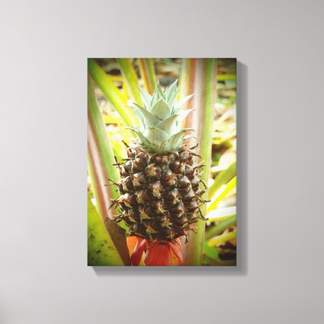 Leinwand von Ananas (Vorderseite)