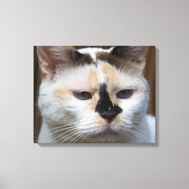 Leinwand von Cream Calico 20"x16" (Vorderseite)