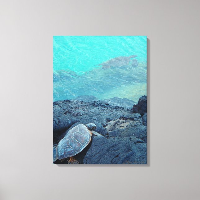 Leinwand von Kiholo Bay Hawaii und Meeresschildkrö (Vorderseite)