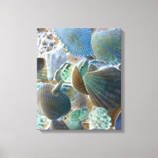Leinwand von Muscheln