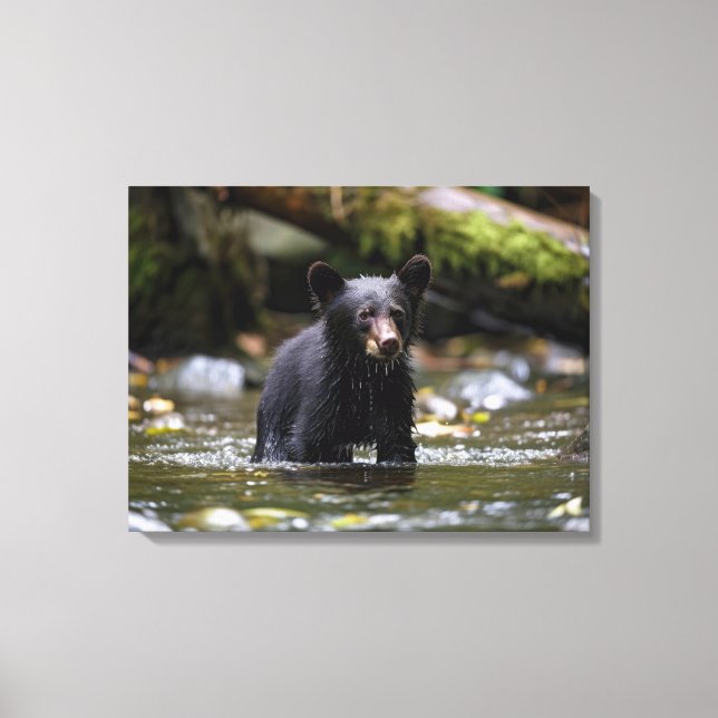 Leinwand Wall Art-Yellowstone Black Bar Cub (Vorderseite)