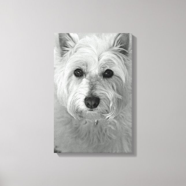 Leinwand Westie Dog (West Highland White Terrier) (Vorderseite)
