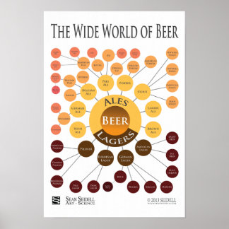 Leinwand Wide World of Ber Infographic Print Poster