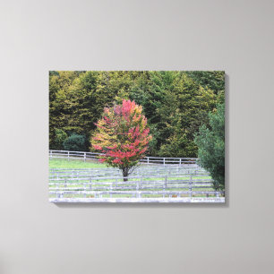 LEINWAND WRAP DRUCKER/MULTIFARBENER BAUM IM FELD