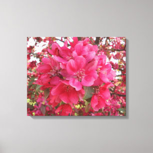 Leinwand zur Blume im Frühjahr