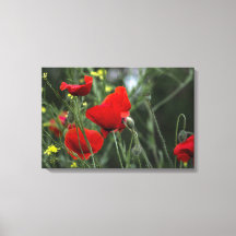 Leinwandbild Mohn in der Natur