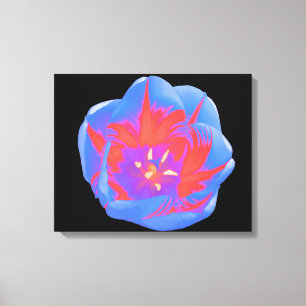 Leinwanddruck Fluoreszierende Tulpe