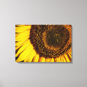 Leinwanddruck - Nahaufnahme Sonnenblume