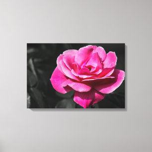 Leinwanddruck Rosa Rose Eleganz