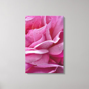 Leinwanddruck Rosa Rosenblüten und Tautropfen