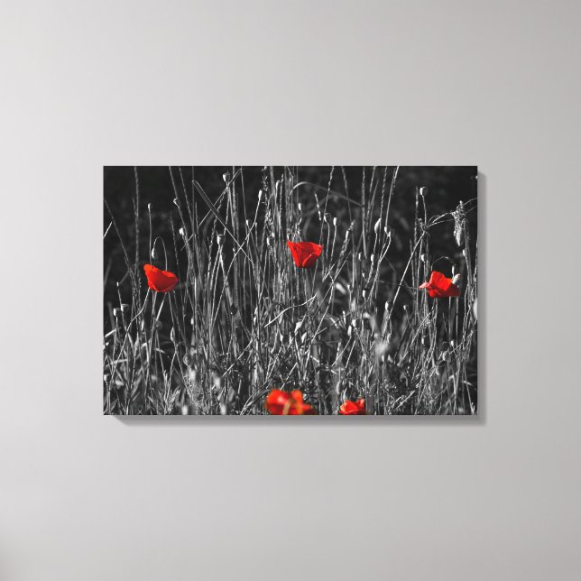 Leinwanddruck - Rote Einsamkeit Mohn (Vorderseite)