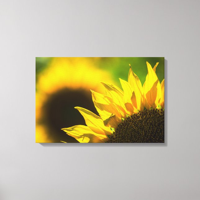 Leinwanddruck Sonnenblume Eleganz (Vorderseite)