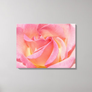 Leinwandkunst Drucke Rosa Rose Blumen Spirale