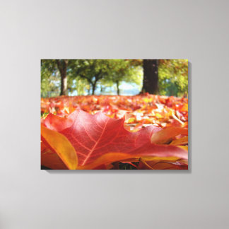 Leinwandnatur Fotografie-roter Herbst-Blätter-Fall Leinwanddruck