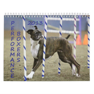 Leistungs-Boxer-Kalender 2013 Kalender