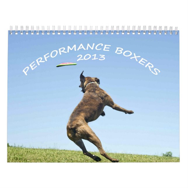Leistungs-Boxer-Kalender 2013 Kalender (Titelbild)