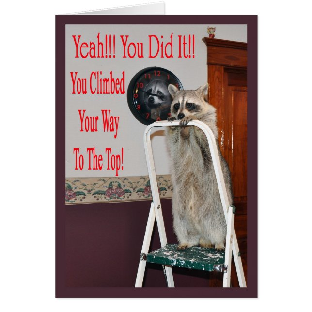 Leiter 2 ersetzen (Vorne)