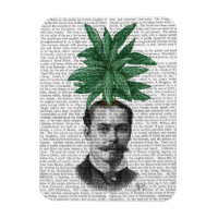 Leiter der Evergreen Head Pflanze