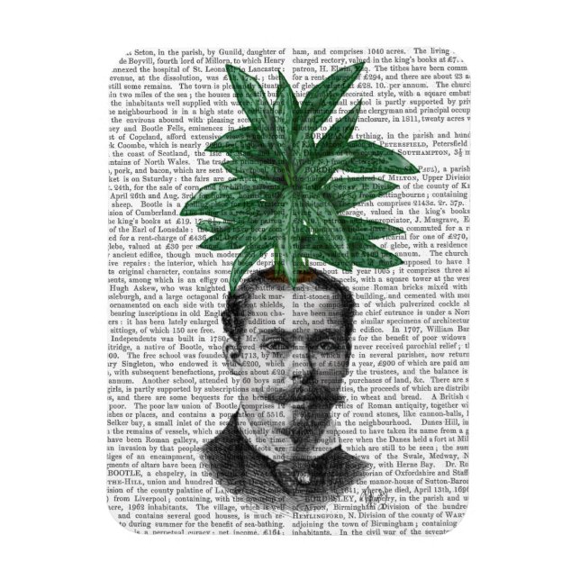 Leiter der Evergreen Head Pflanze Magnet (Vertikal)