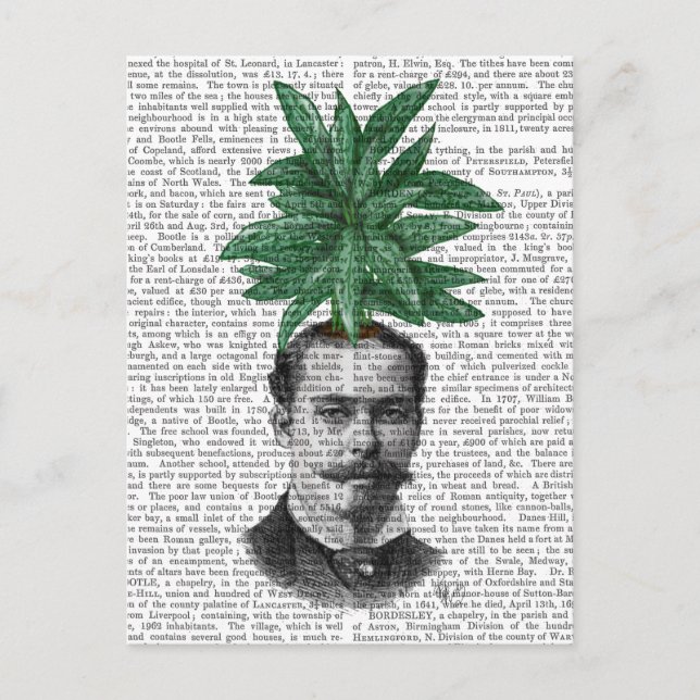 Leiter der Evergreen Head Pflanze Postkarte (Vorderseite)