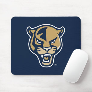 Leiter der FIU-Einheit Mousepad