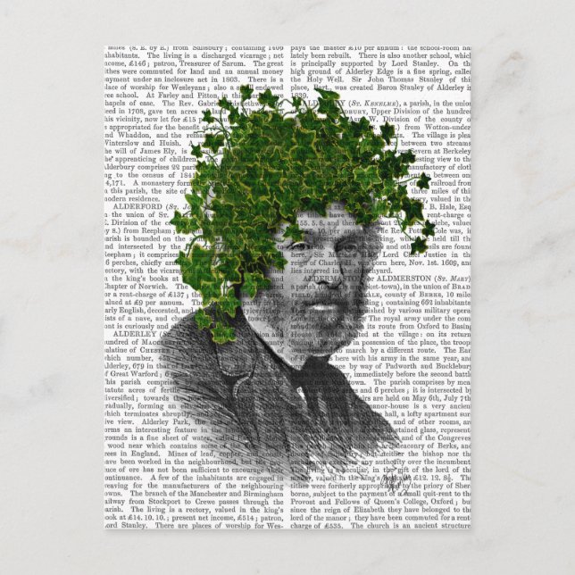 Leiter der Pflanze Postkarte (Vorderseite)