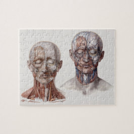 Leiter der Vintagen Anatomie Puzzle