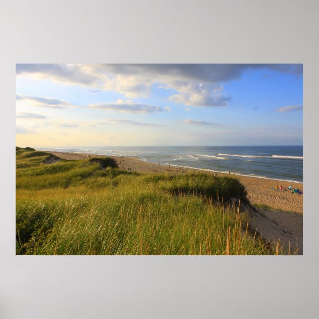 Leiter des Meadow Beach Truro Cape Cod Poster (Vorne)