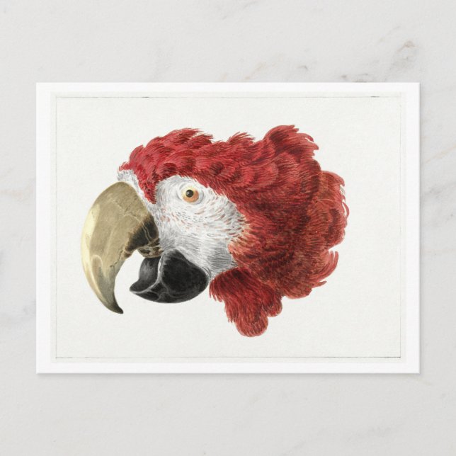 Leiter einer Vintagen Postkarte für eine Darstellu (Vorderseite)