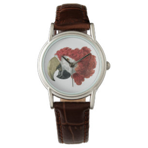 Leiter eines Ara (1725-1792) Aert Schouman Armbanduhr